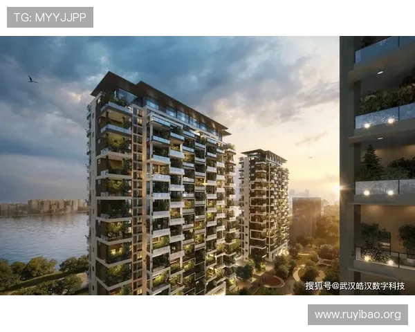 壹号的网址：如何快速找到壹号的官方网站及其最新更新内容